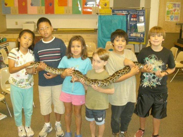 Schools & Libraries Thors Reptile Family