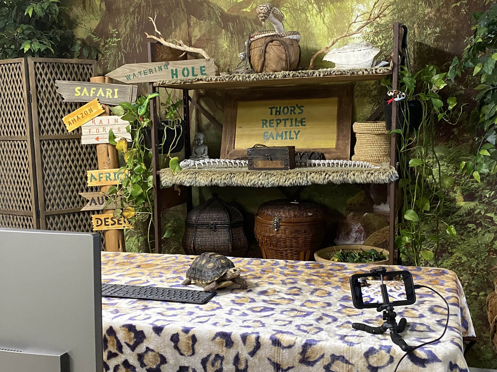 Thor´s Repltile Family show virtual safari gallery